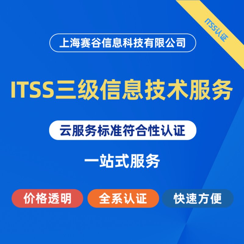 软件技术服务
